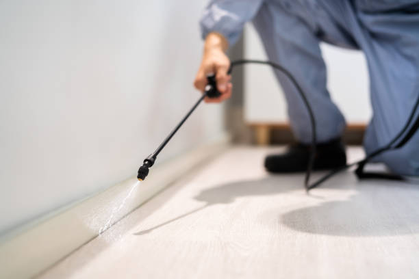 Bed Bug Pre-Treatment Preparation Assessment in Moses Lake