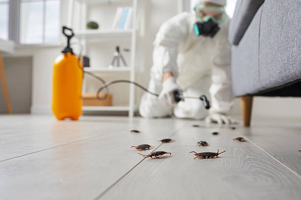 Post-Treatment Bed Bug Interceptor Monitoring in Moses Lake
