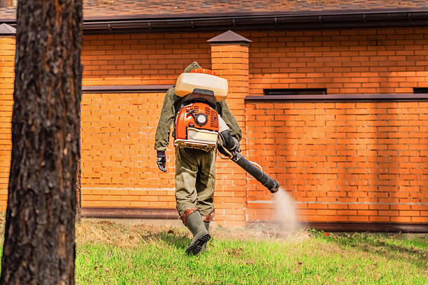Bed Bug Clearance Verification and Documentation in Moses Lake